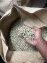 arabic coffee beans - product's photo